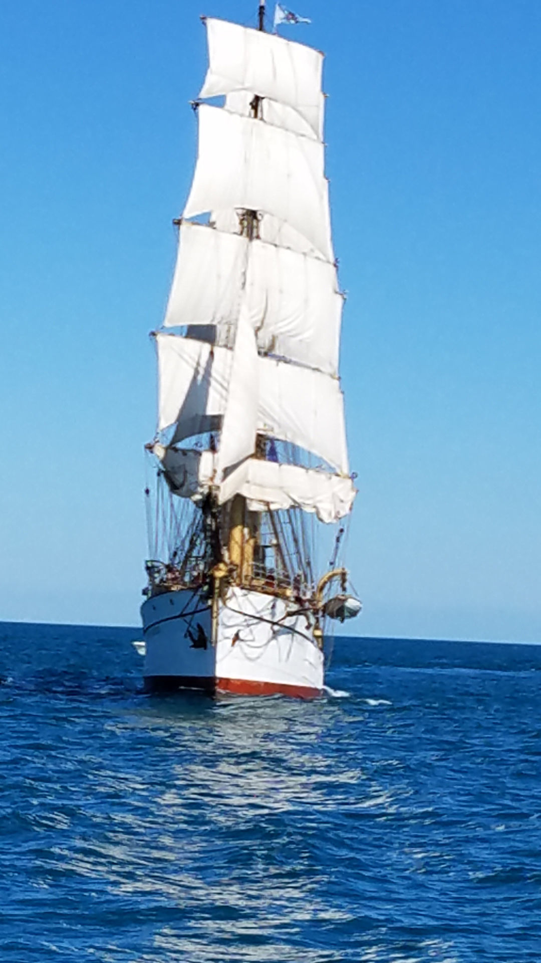 ship14